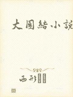 大团结小说全文