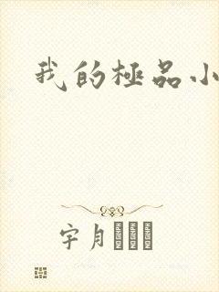 我的极品小姨