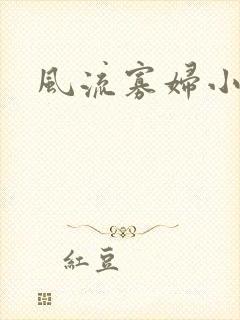 风流寡妇小说