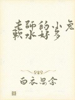 老师的小兔子好软水好多