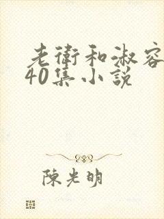 老卫和淑容1-40集小说