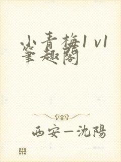 小青梅1 v1笔趣阁