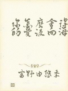你怎么舍得让我的爱流向海