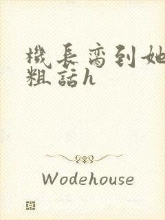 机长脔到她哭h粗话h封面