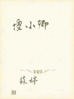 傻小卿封面