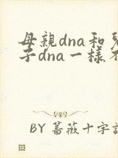 母亲dna和儿子dna一样不