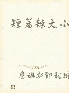 短篇辣文小说