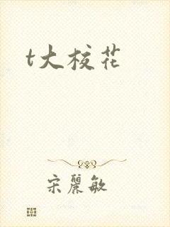 t大校花封面