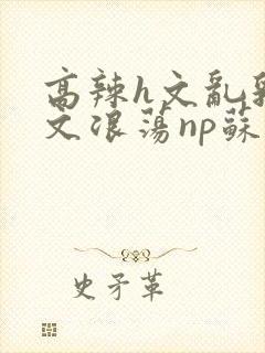 高辣h文乱乳h文浪荡np苏夏
