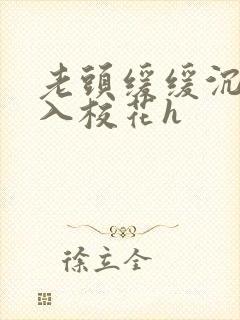 老头缓缓沉腰进入校花h