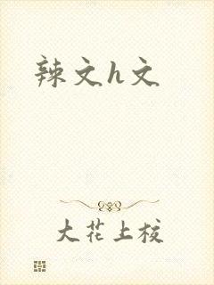 辣文h文