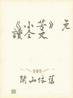 《小芳》免费阅读全文