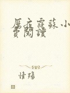 厉夜霆苏小汐免费阅读封面