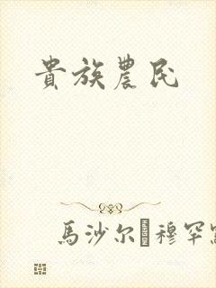 贵族农民