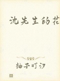 沈先生的花式封面