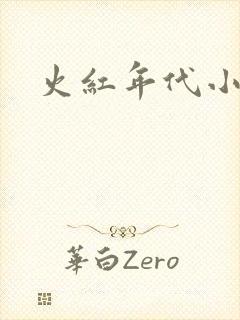 火红年代小说