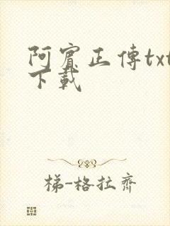 阿宾正传txt下载