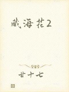 藏海花2
