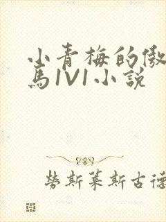 小青梅的傲娇竹马1V1小说