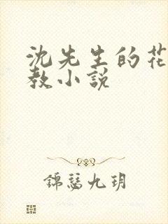 沈先生的花式管教小说封面