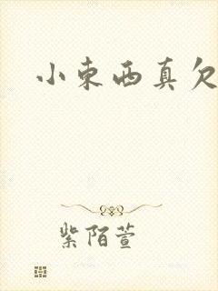 小东西真欠弄