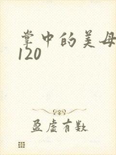 掌中的美母版主120封面
