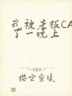 我被老板CAO了一晚上