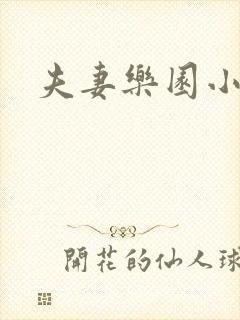 夫妻乐园小说