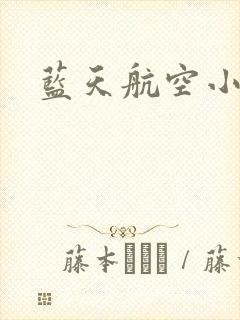 蓝天航空小说