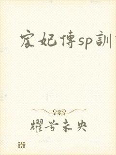 宸妃传sp训诫
