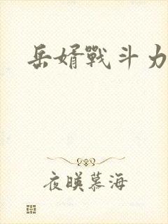 岳婿战斗力