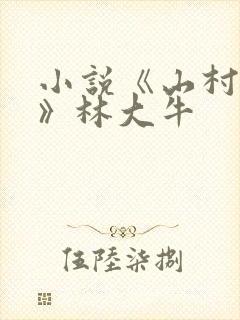 小说《山村情事》林大牛