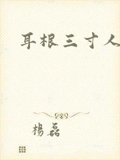 耳根三寸人间