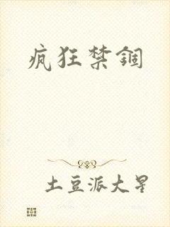 疯狂禁锢封面