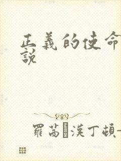 正义的使命 小说封面