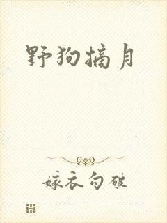 野狗摘月封面