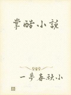 掌酷小说