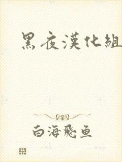 黑夜汉化组