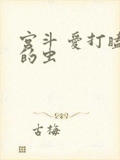 宫斗 爱打瞌睡的虫封面