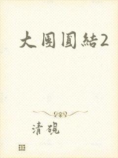 大团圆结2封面