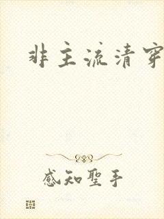 非主流清穿
