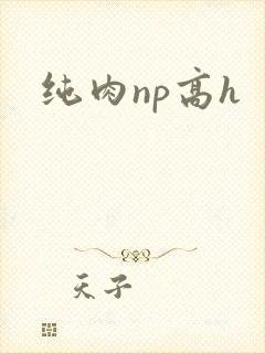 纯肉np高h