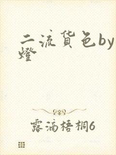 二流货色by尾灯封面