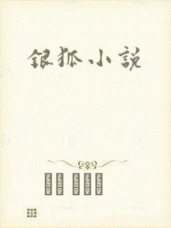 银狐小说