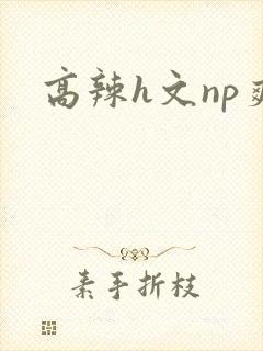 高辣h文np爽