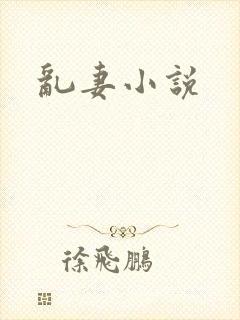 乱妻小说
