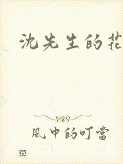 沈先生的花式