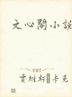 文心阁小说