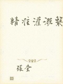 精准灌溉系统