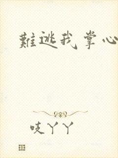 难逃我掌心